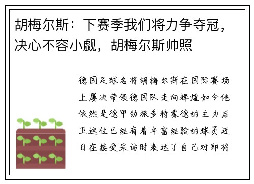 胡梅尔斯：下赛季我们将力争夺冠，决心不容小觑，胡梅尔斯帅照